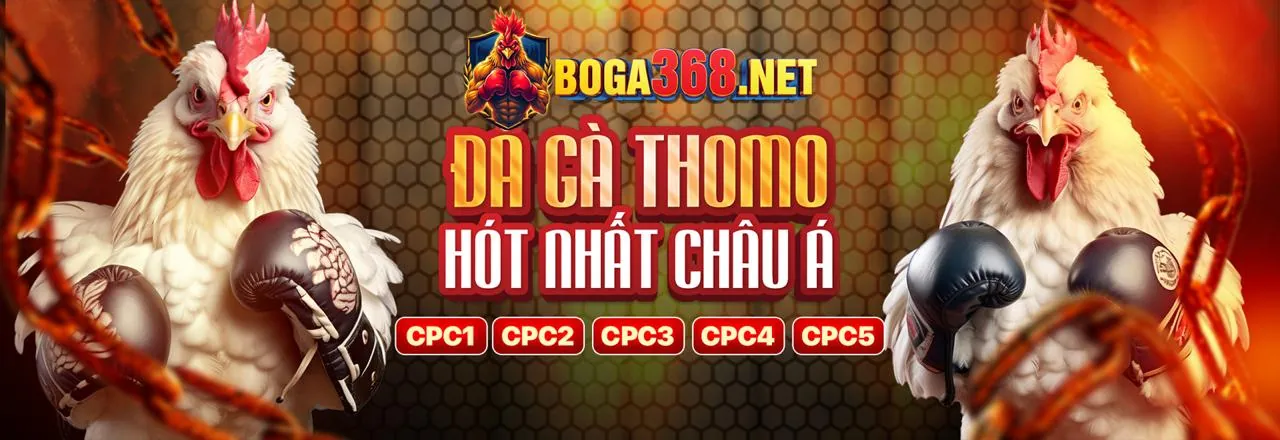 Biểu đồ cấp bậc VIP của 555win Casino