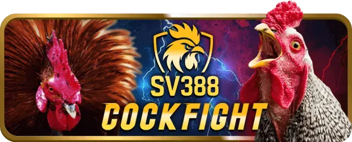 Đăng nhập và bắt đầu chơi game